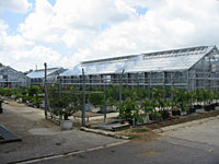 石垣島 電気工事 八重山農林高校温室新築工事