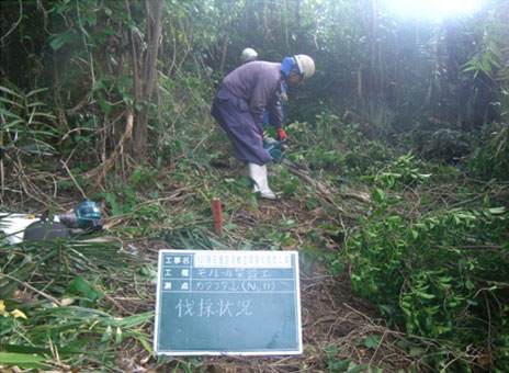 �Ί_���@�q���Q���ݒu