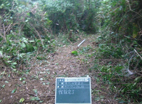 �Ί_���@�q���Q���ݒu