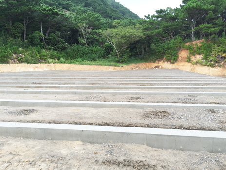 ���ꔭ�d���H��