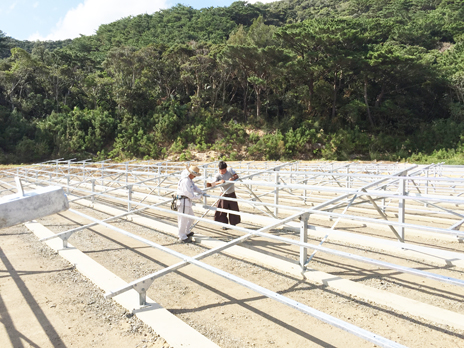 ���ꔭ�d���H��