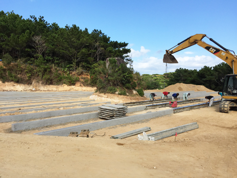 ���ꔭ�d���H��