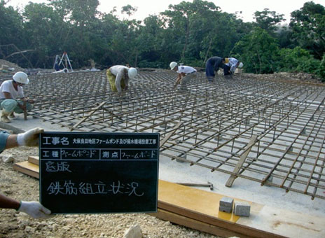 �Ί_���@�y��