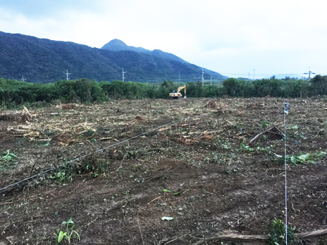 �Ί_���@��c���z�������H��