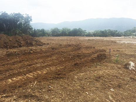 �Ί_���@��c���z�������H��