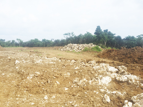 �Ί_���@��c���z�������H��