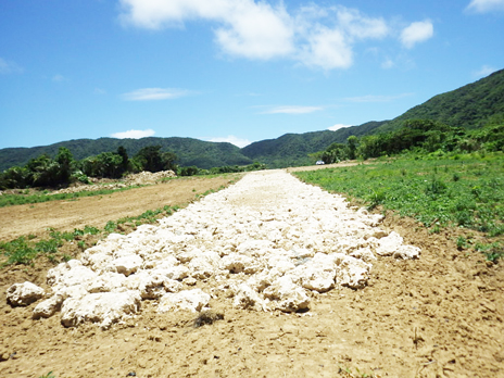 �Ί_���@��c���z�������H��