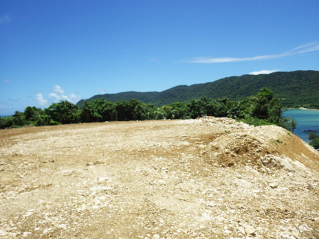 �Ί_���@��c���z�������H��