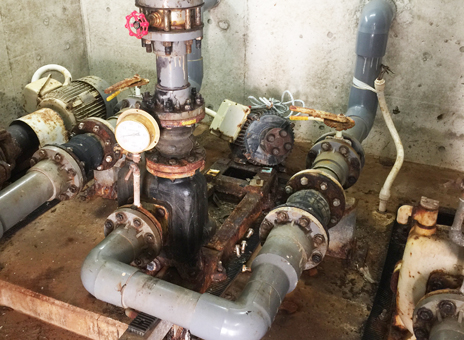 �v�[��3�߃|���v��֍H��